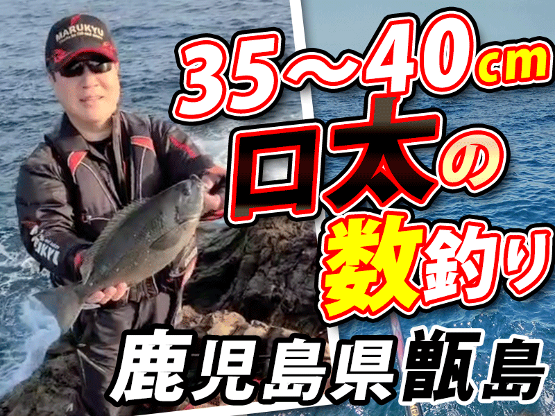 春グレ楽し過ぎ 35 40cmグレの数釣り 鹿児島県甑島 マルキユー九州 フカセ釣り情報