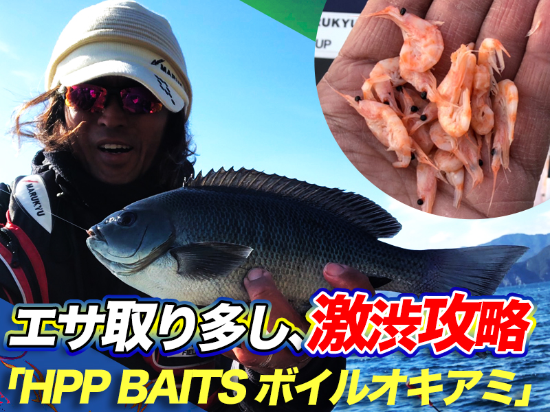 エサ取り多し Hpp Baits ボイルオキアミ で激渋攻略 大分県米水津 マルキユー九州 フカセ釣り情報