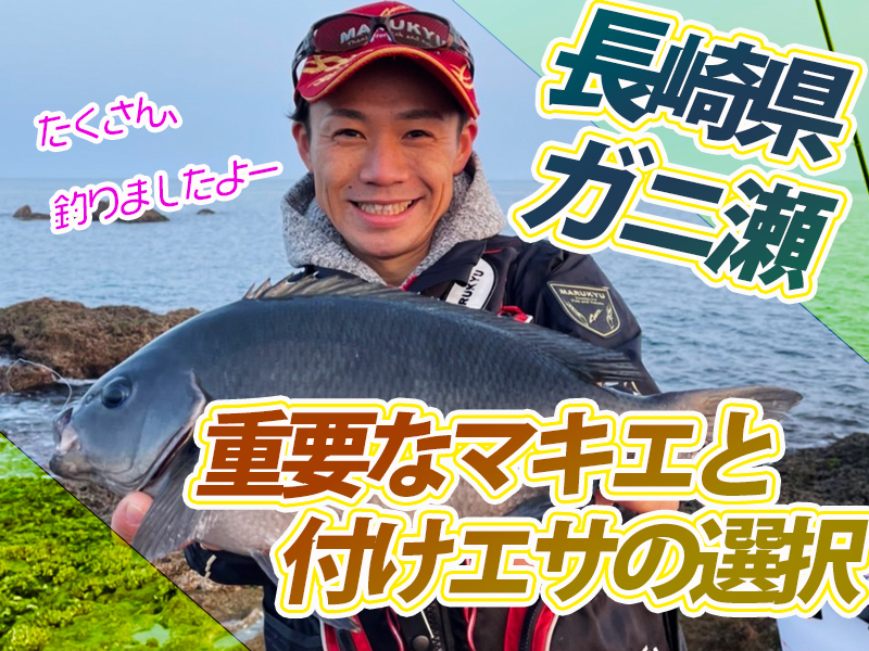 型揃いの数釣り堪能 重要なマキエと付けエサの選択 長崎県ガニ瀬 マルキユー九州 フカセ釣り情報