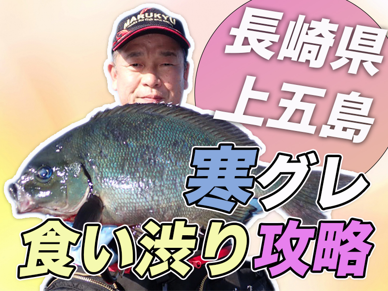 クロ釣りシーズン終盤 寒グレ超食い渋り攻略 長崎県上五島 マルキユー九州 フカセ釣り情報