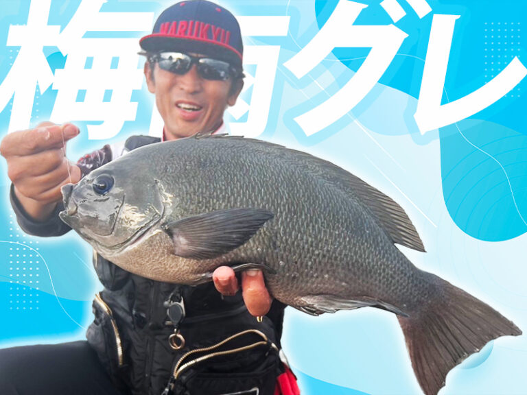 湾内でグレ&イサキの数釣り〜大分県鶴見 | マルキユー九州 フカセ釣り情報