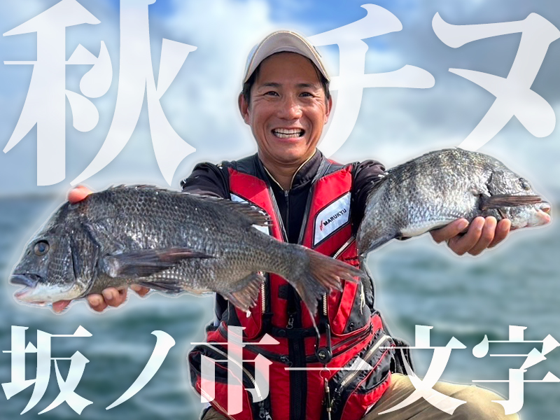 秋チヌ活発、時合に連打！〜大分県坂ノ市一文字 | マルキユー九州 