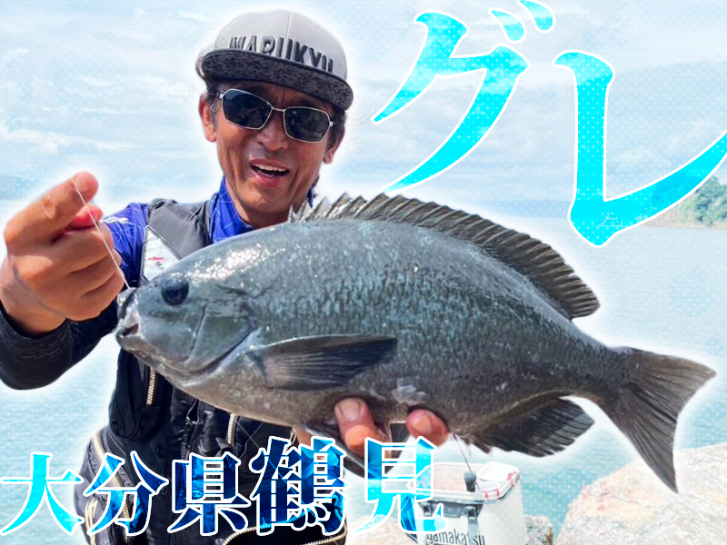 イサキの数釣りに、40アップグレが登場！〜大分県鶴見 | マルキユー 